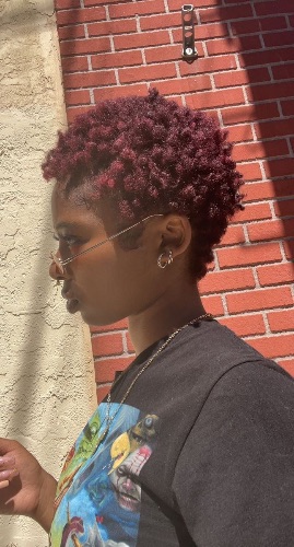 Profile